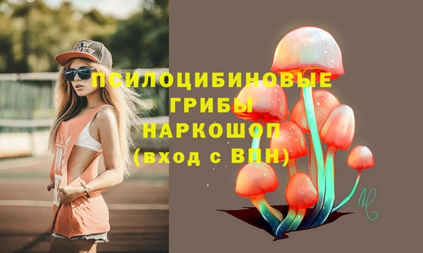 jwh Аркадак